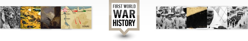 New Zealand and the First World War