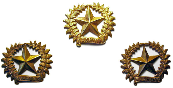 17th Ruahine Company badge