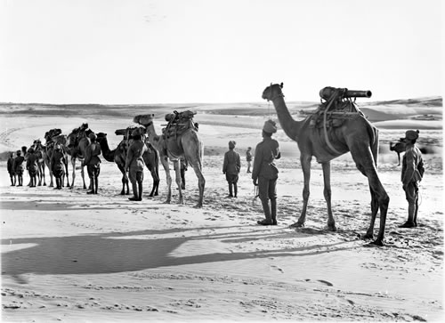 camel-artillery-march.jpg