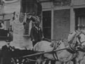 Horse and decorated float