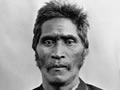 Wiremu Tamihana