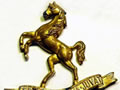 9th (Wellington East Coast) Mounted Rifles