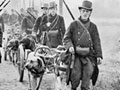 Belgian soldiers on the march Belgian soldiers on the march