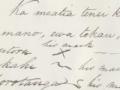Bay of Plenty treaty copy