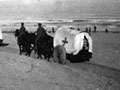 Transporting wounded from Magdhaba Transporting wounded from Magdhaba