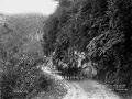 Early travel in Buller Gorge Early travel in Buller Gorge