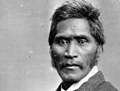 Wiremu Tamihana Tarapipipi Te Waharoa